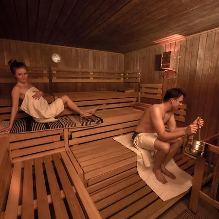 App 613 Panoramic Terrassenhaus Hohegeiß